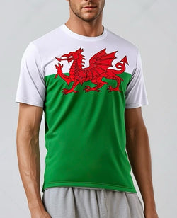 Heritage Wales T