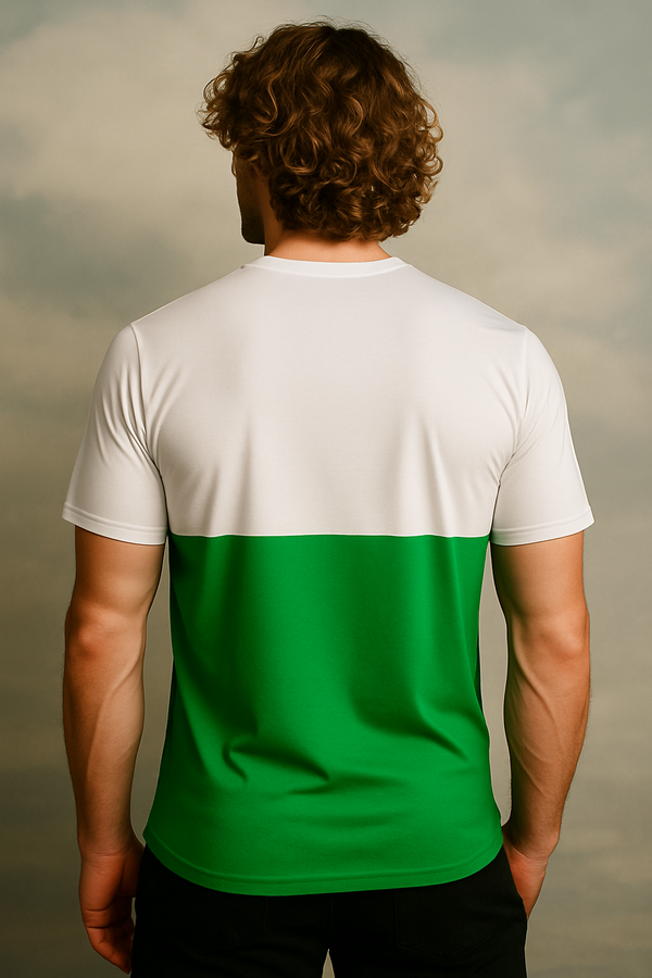 Welsh Standard T